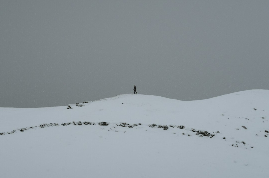 person walking in nature
