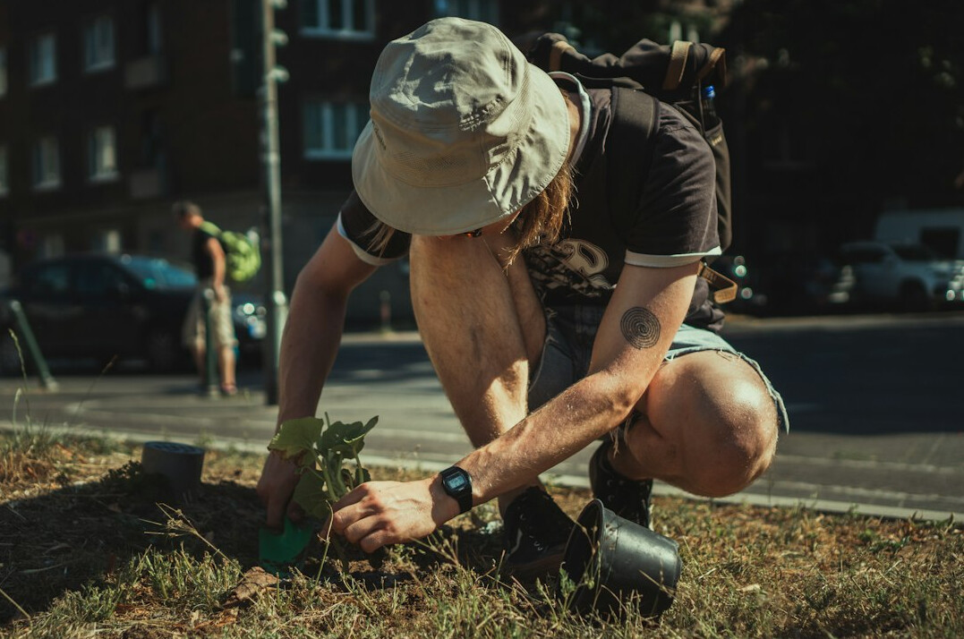 people planting trees